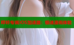 哔咔专属iOS加速器：极速漫画体验