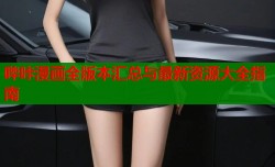 哔咔漫画全版本汇总与最新资源大全指南