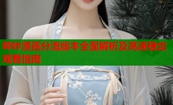 哔咔漫画分流版本全面解析及高速稳定观看指南
