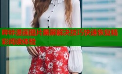 哔咔漫画图片黑屏解决技巧快速恢复精彩阅读体验