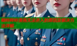 噼咔哔咔漫画无法进入的原因及解决方法详解