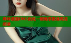 哔咔漫画DNS优化一键畅享极速高清阅读