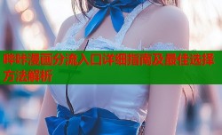 哔咔漫画分流入口详细指南及最佳选择方法解析