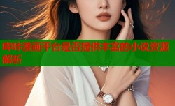 哔咔漫画平台是否提供丰富的小说资源解析