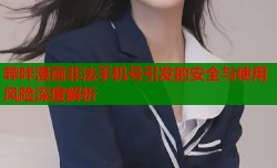 哔咔漫画非法手机号引发的安全与使用风险深度解析