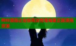 哔咔漫画企业版高效管理海量正版漫画资源
