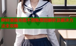 哔咔漫画充值不到账原因解析及解决方法全攻略