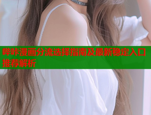 哔咔漫画分流选择指南及最新稳定入口推荐解析  第2张
