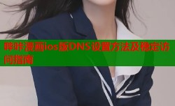 哔咔漫画ios版DNS设置方法及稳定访问指南